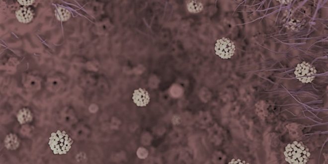 Aizdomās par koronavīrusu Latvijā pārbaudīti četri pacienti, visi veseli