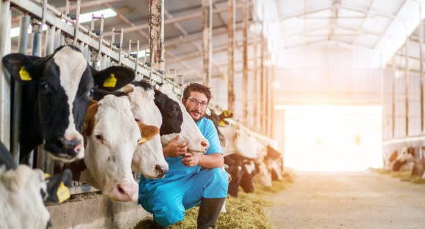 PVD apturējis tirdzniecības atļauju veterinārajām zālēm “Kexxtone”