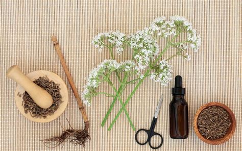 Kā baldriāna nomierinošās īpašības var palīdzēt satraukuma laikā? Stāsta farmaceite