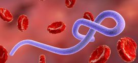 PVO Ebolas uzliesmojumu Kongo DR un Ugandā pasludina par starptautisku ārkārtas situāciju