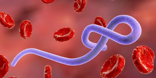 PVO Ebolas uzliesmojumu Kongo DR un Ugandā pasludina par starptautisku ārkārtas situāciju