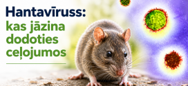 Hantavīruss – uzliesmojuma risks zems; ko ņemt vērā dodoties ceļojumos