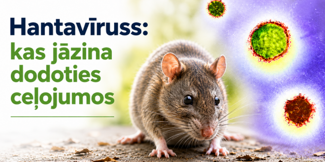 Hantavīruss – uzliesmojuma risks zems; ko ņemt vērā dodoties ceļojumos