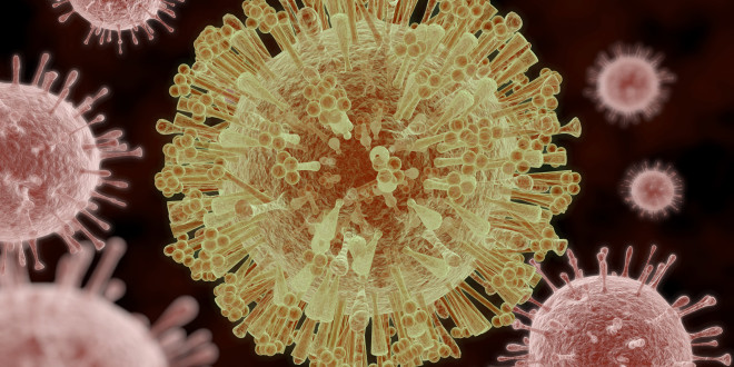Eiropas Zāļu aģentūra izveido Zikas vīrusa ekspertu komandu